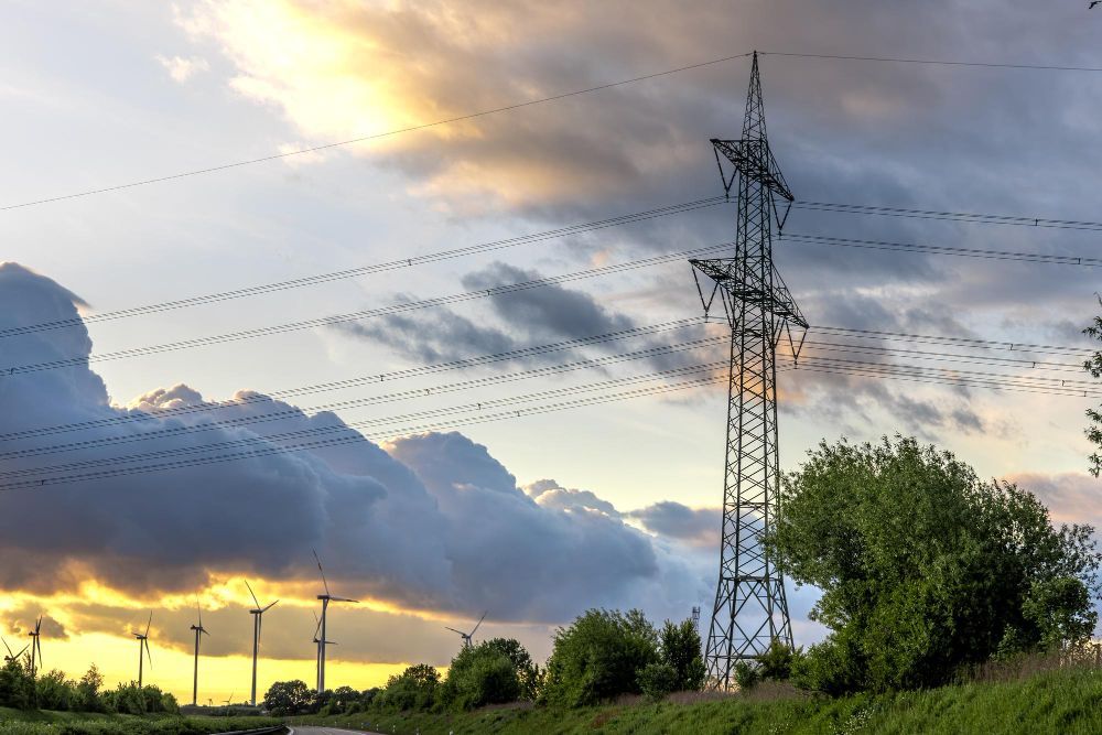 pge szuka wykonawcow wycinki olecko